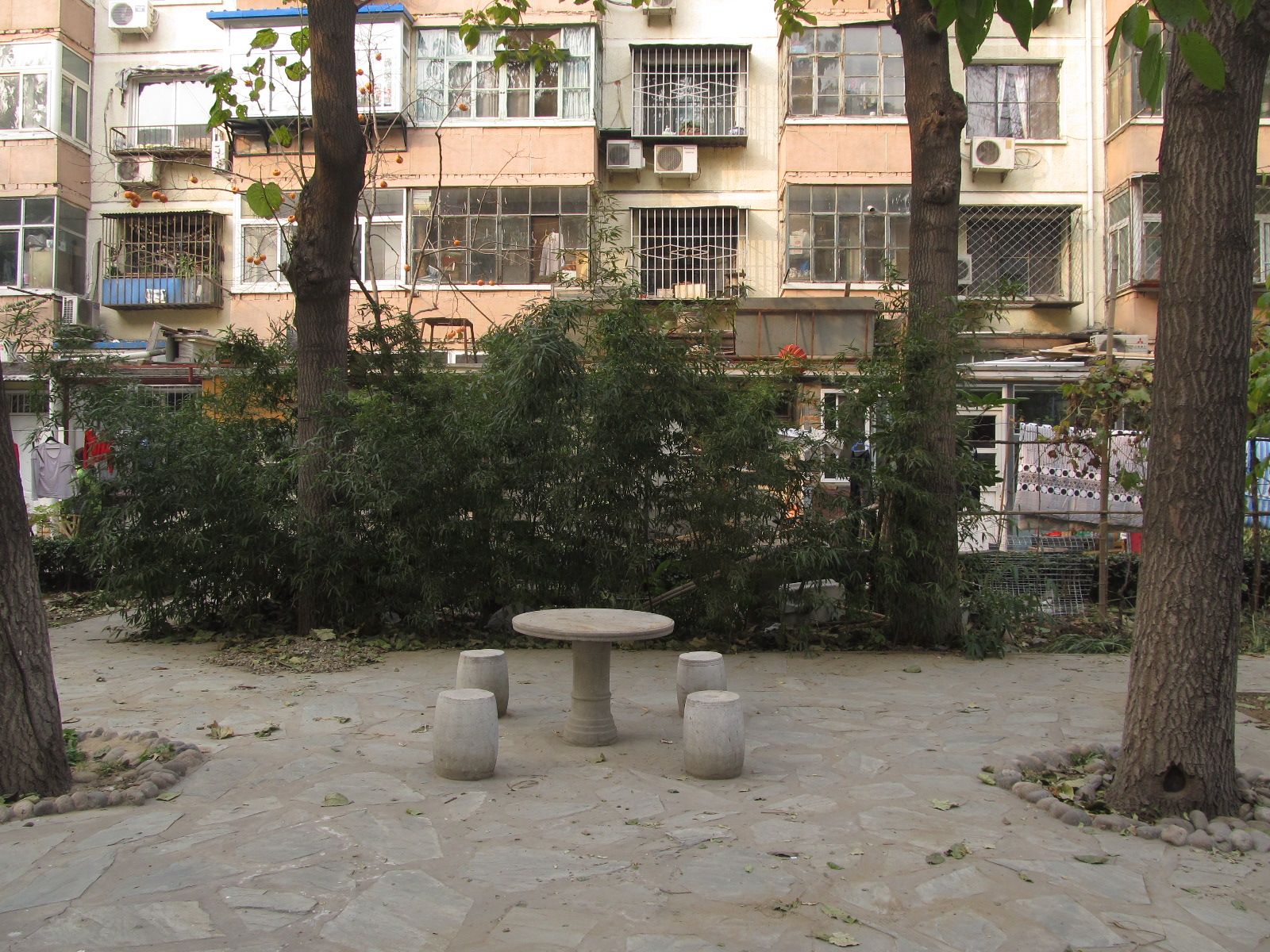 高家园二区 environment