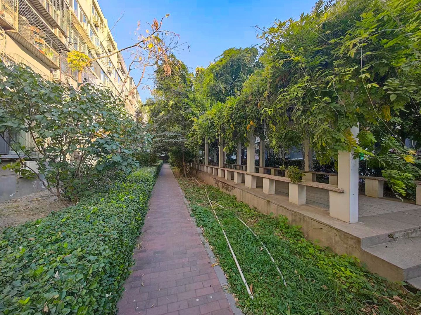 高原街4号院 environment