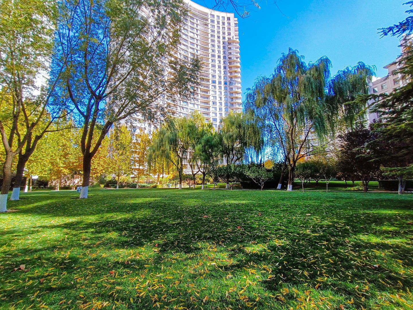 公园大道 environment