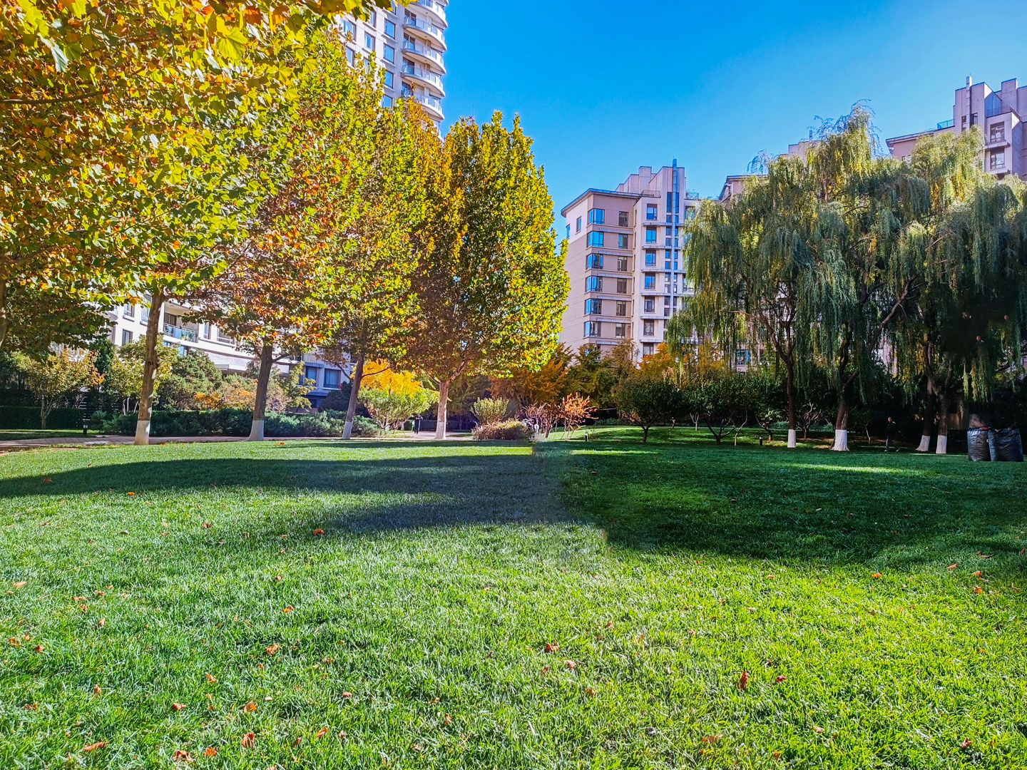 公园大道 environment