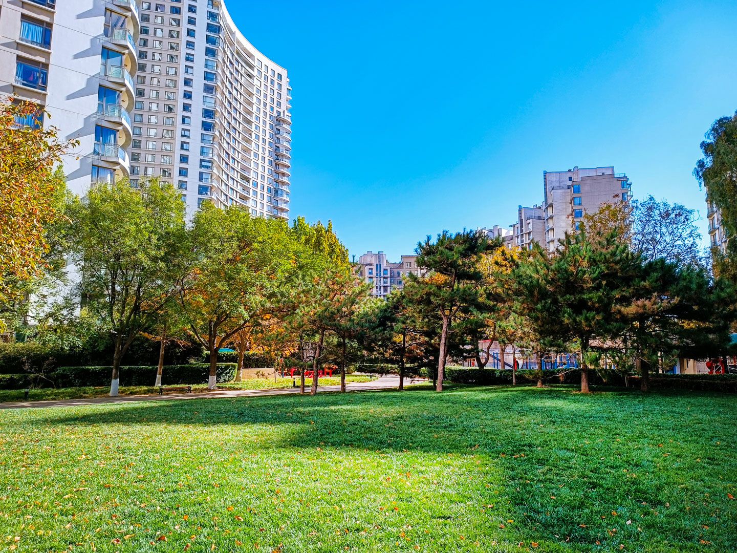 公园大道 environment