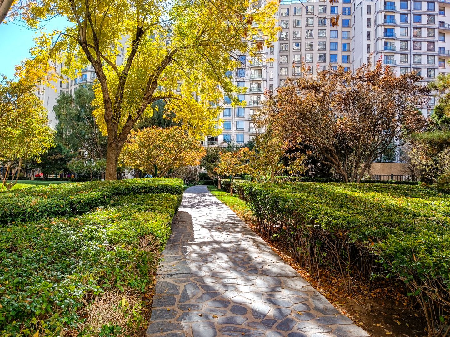 公园大道 environment