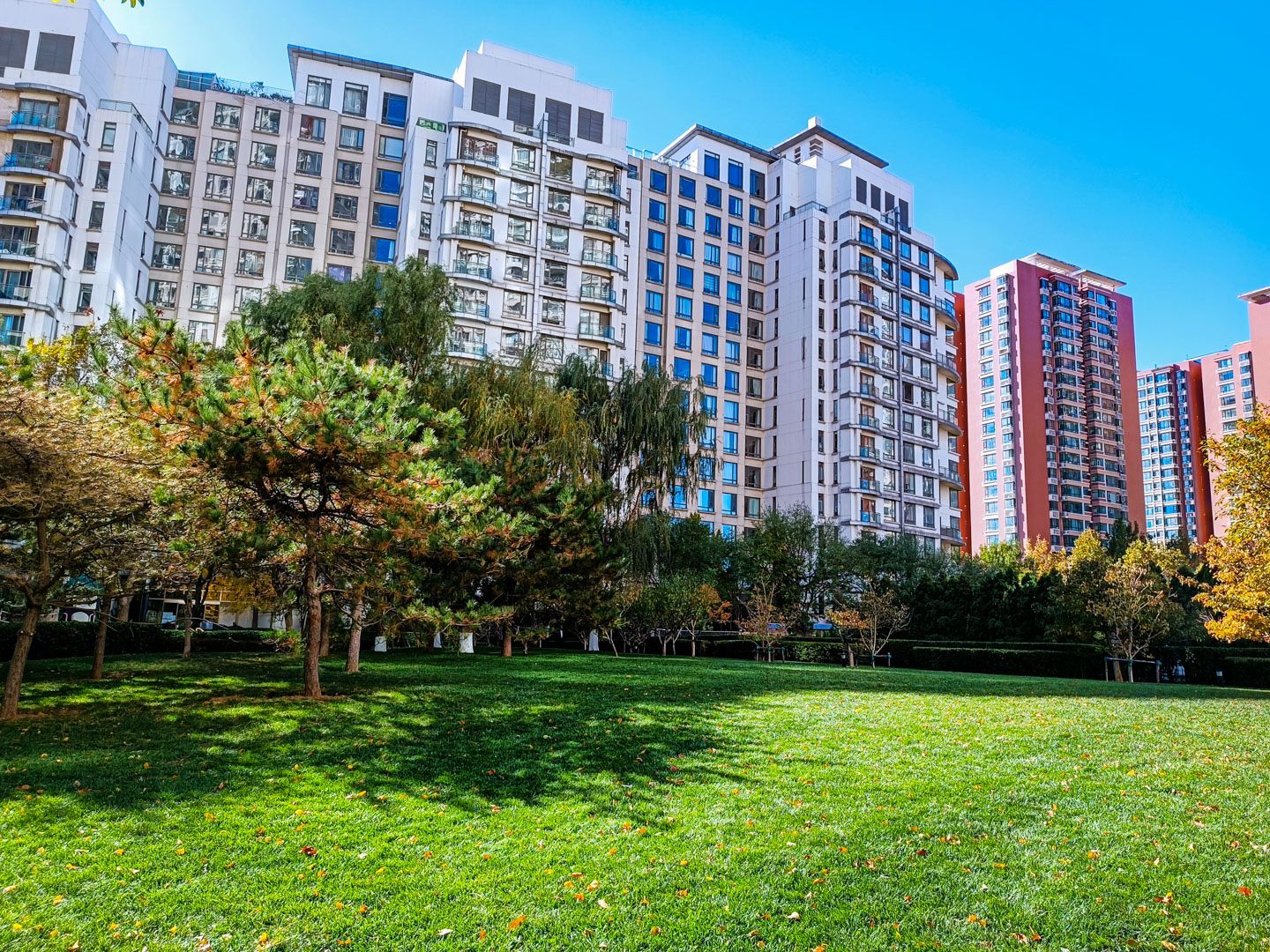 公园大道 environment