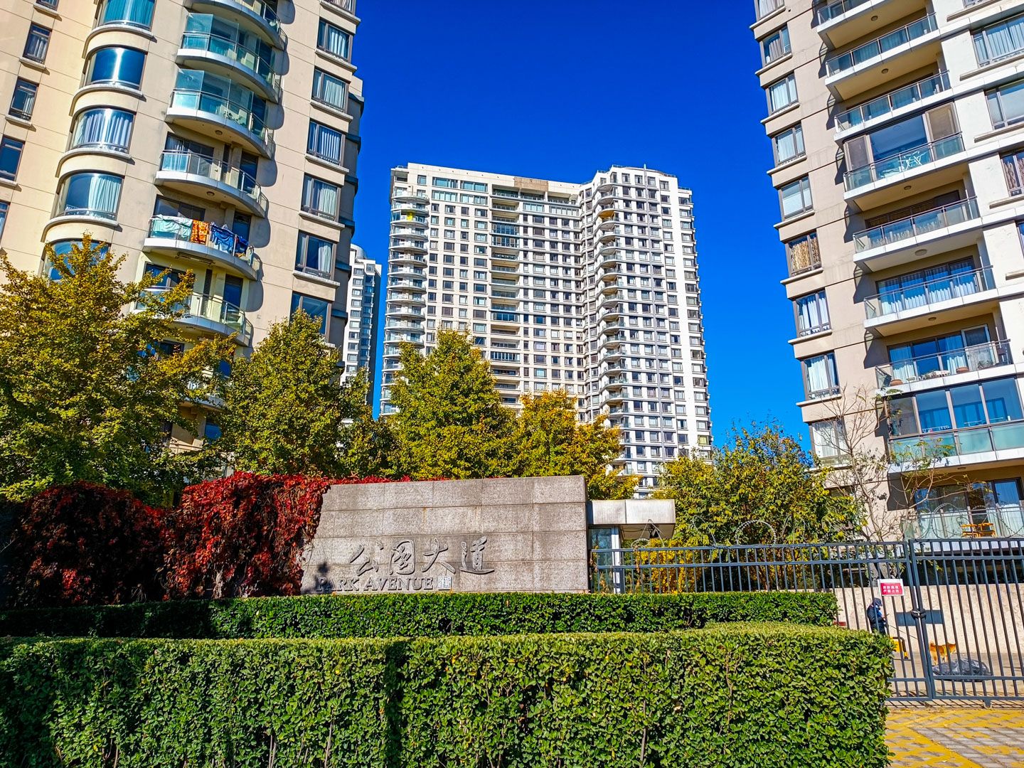 公园大道 environment