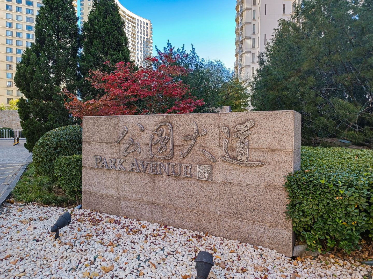 公园大道 environment