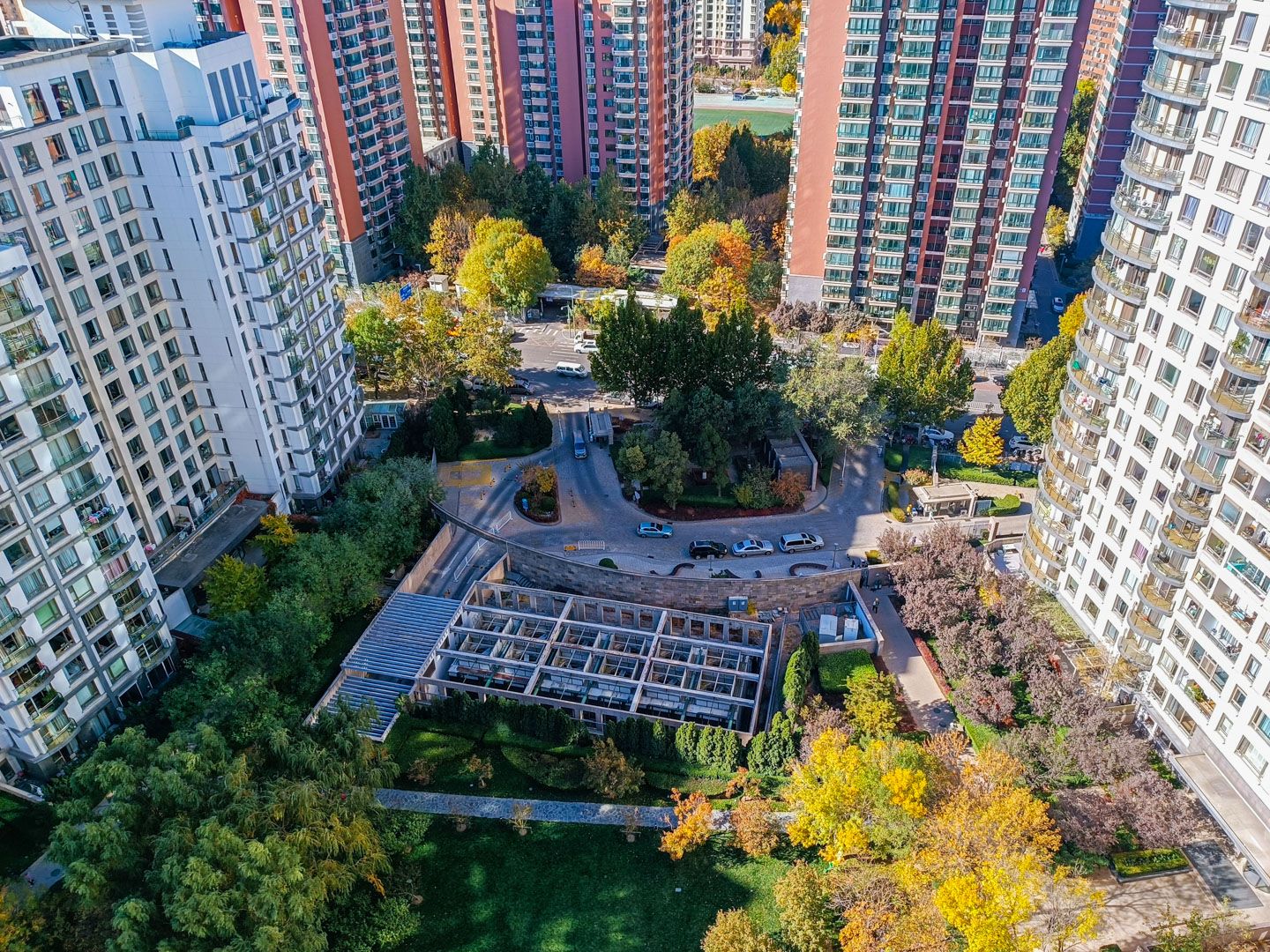 公园大道 environment