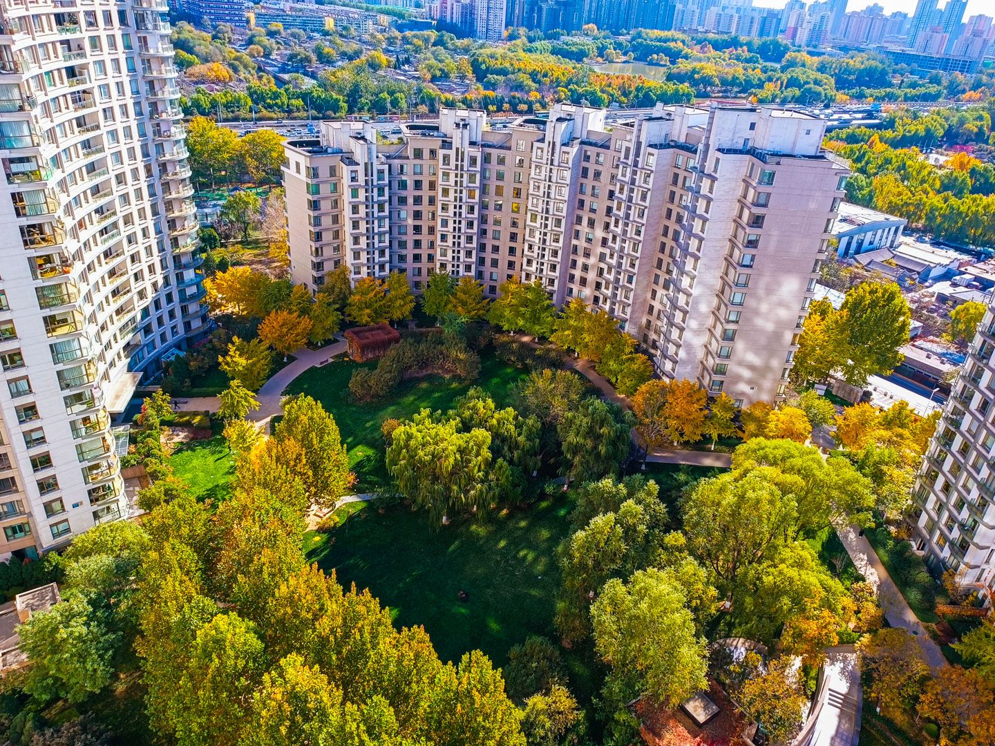 公园大道 environment