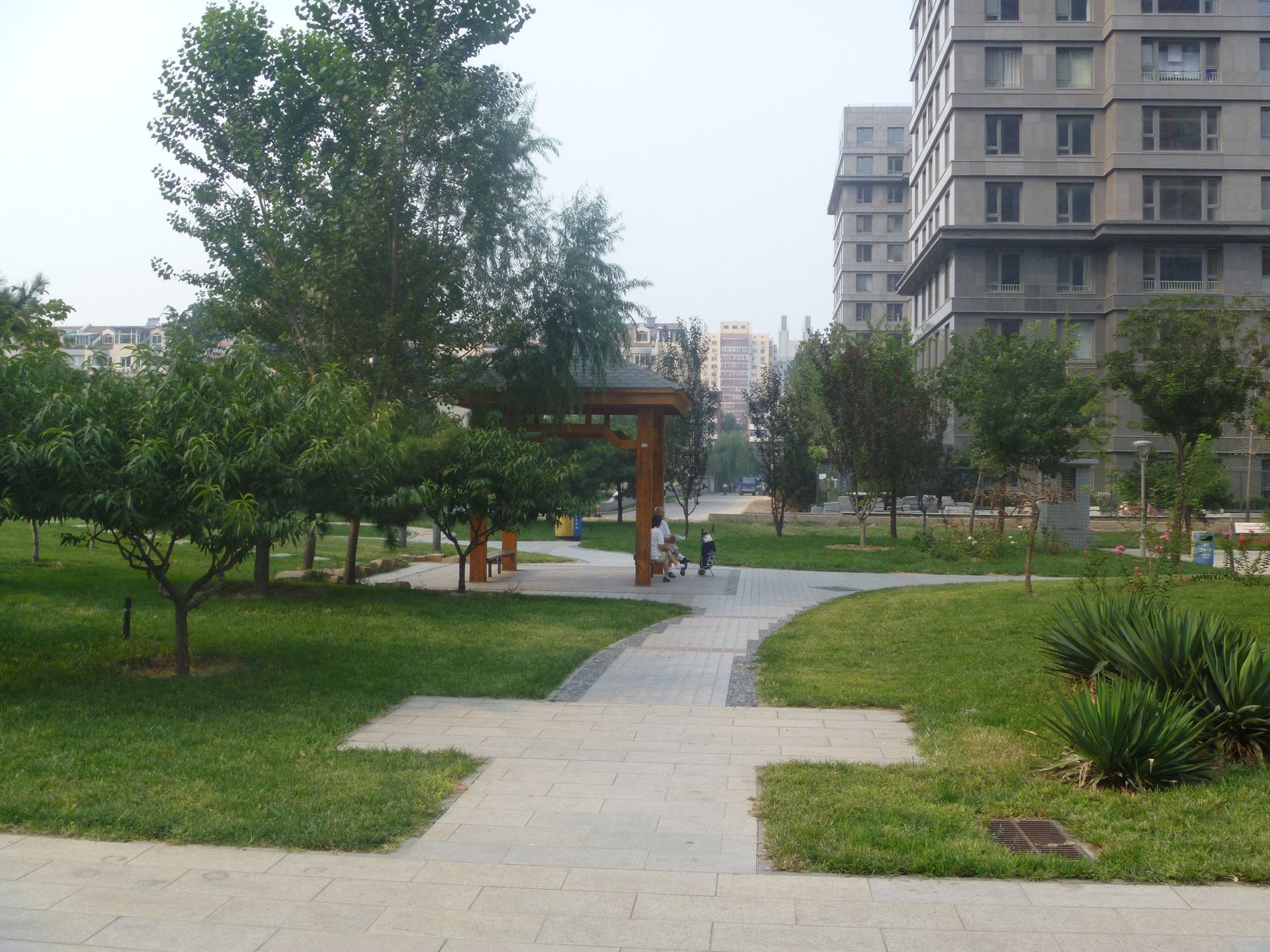 公园五号 environment