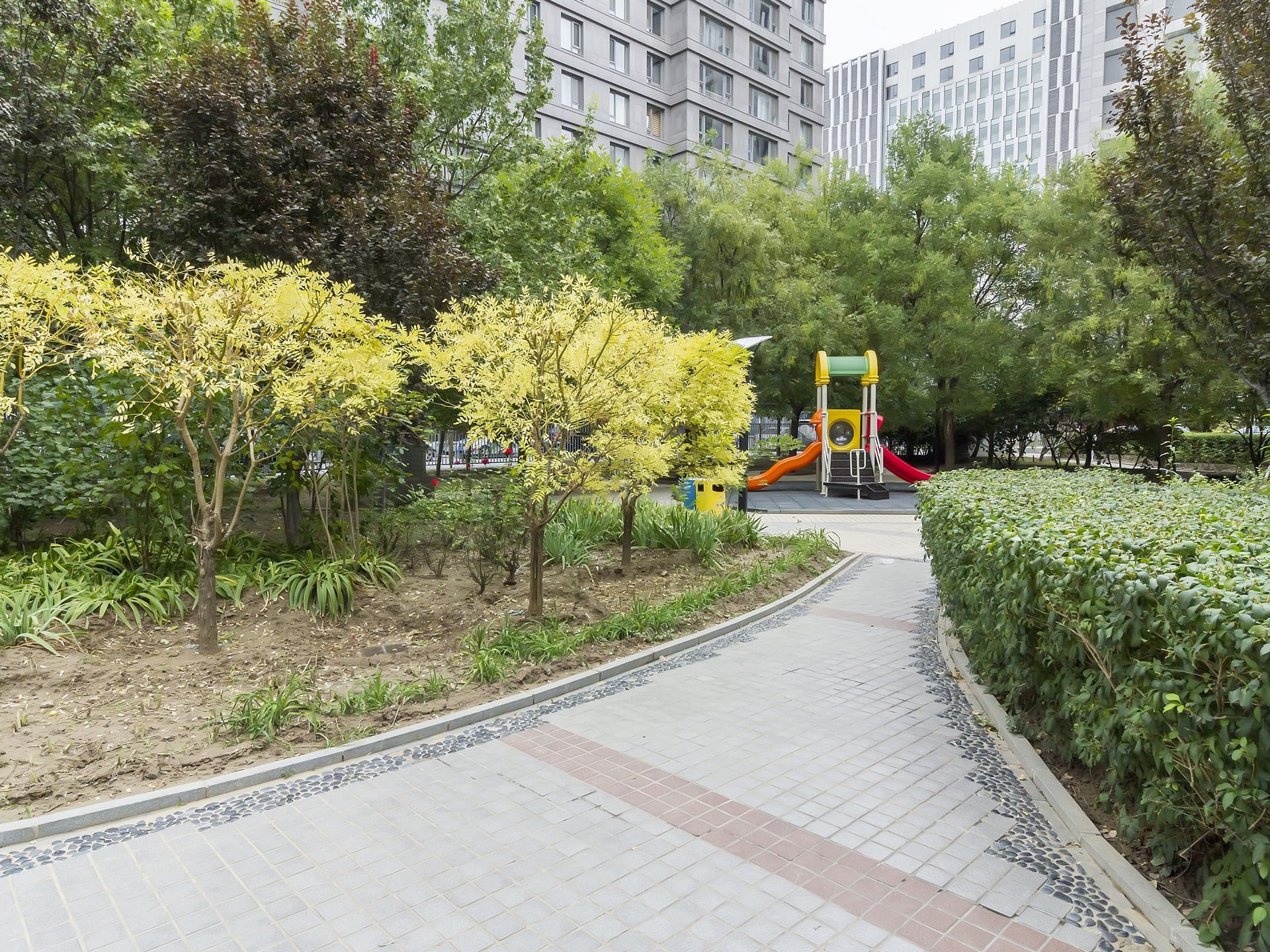 公园五号 environment