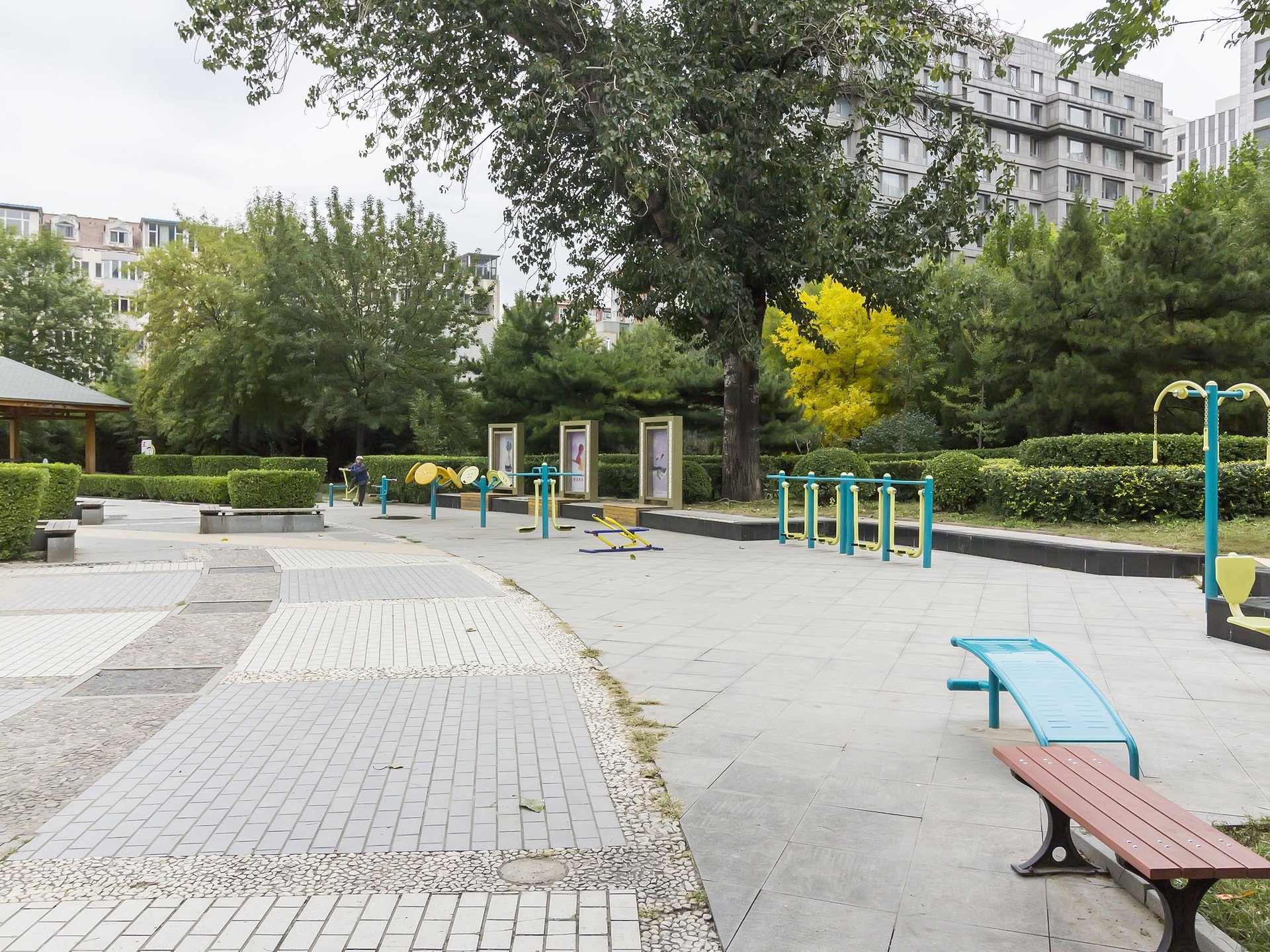 公园五号 environment