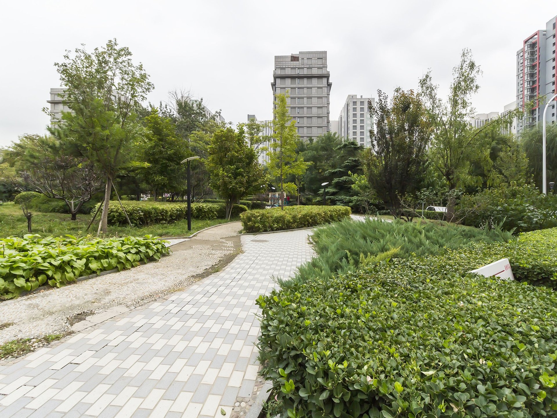 公园五号 environment