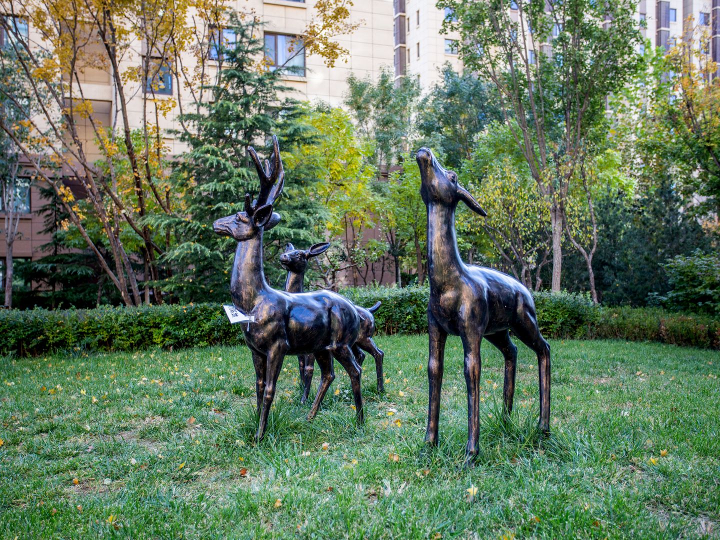 公园懿府 environment