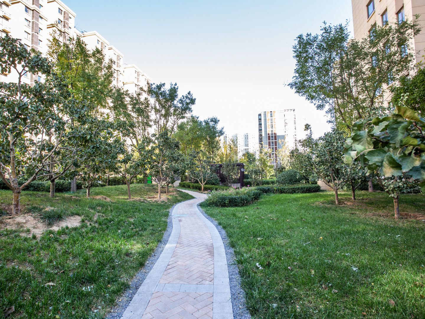 公园懿府 environment