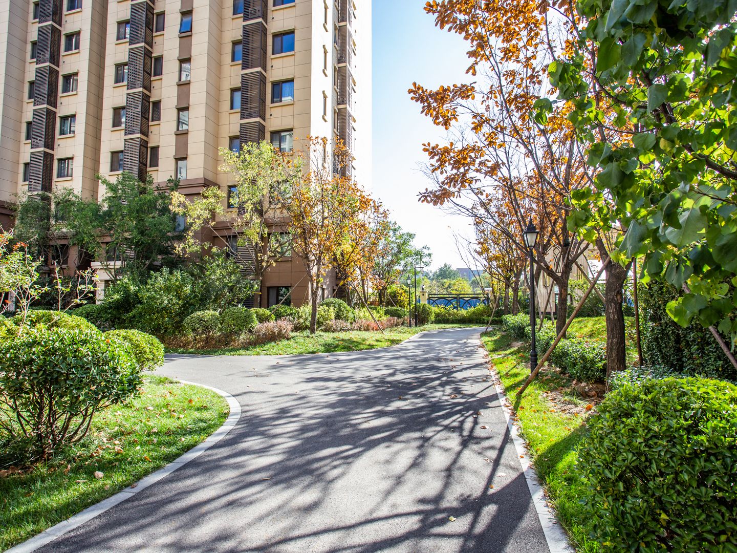 公园懿府 environment