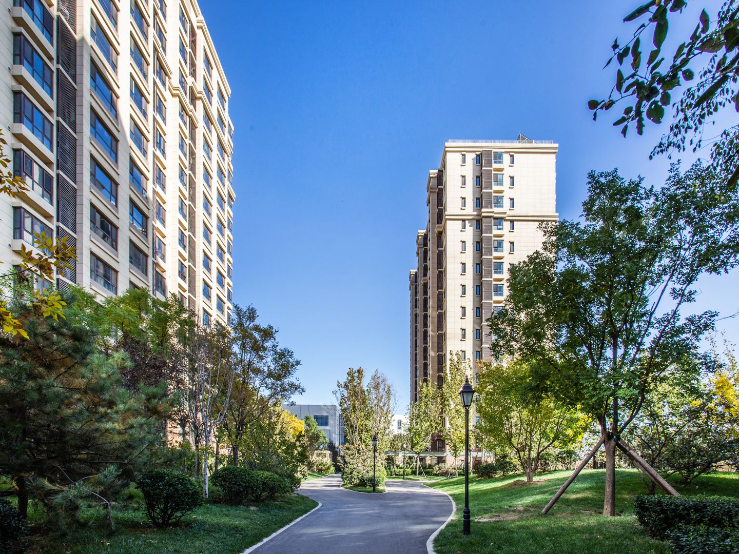 公园懿府 environment