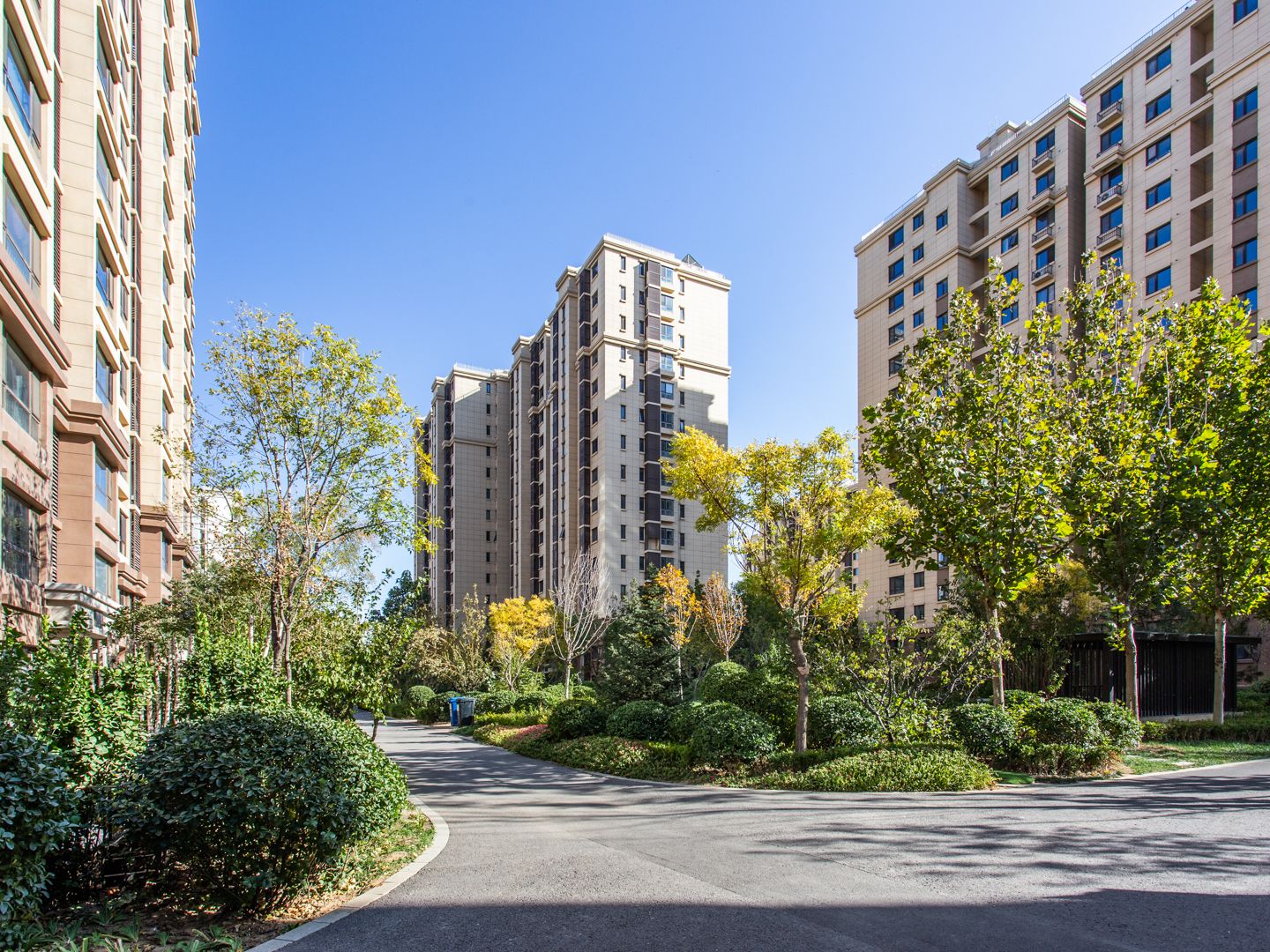 公园懿府 environment