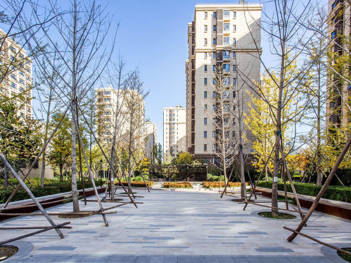 公园懿府 environment