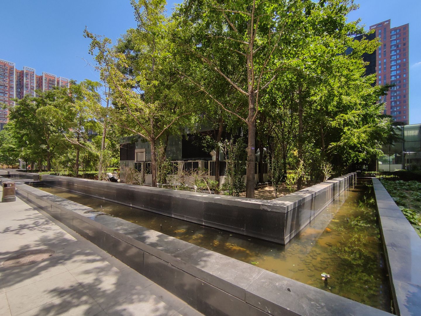 冠城名敦道A区 environment