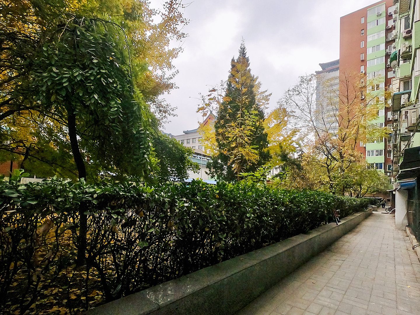 广安门北街 environment