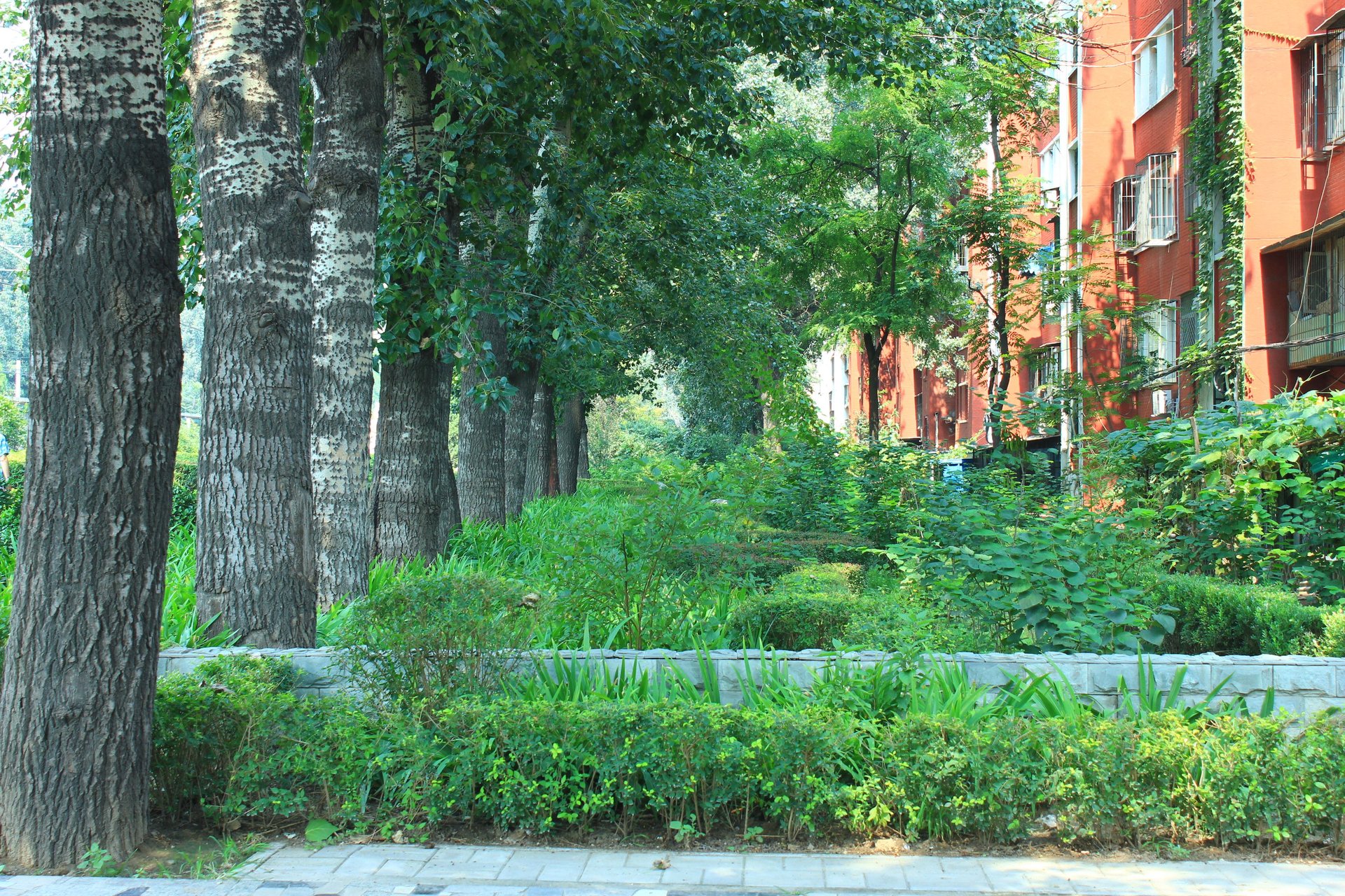 光明楼 environment