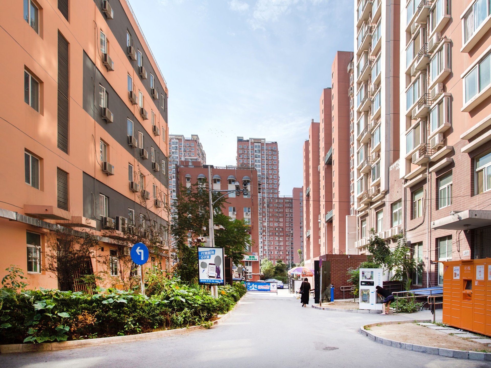 广渠家园 environment