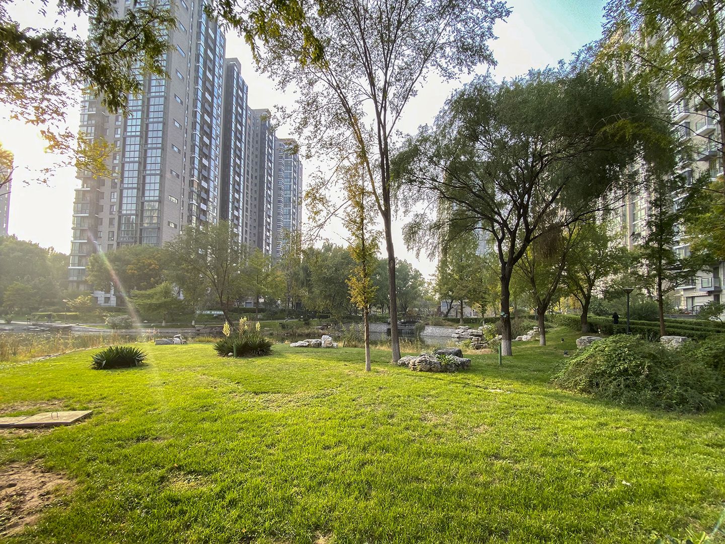 观湖国际 environment