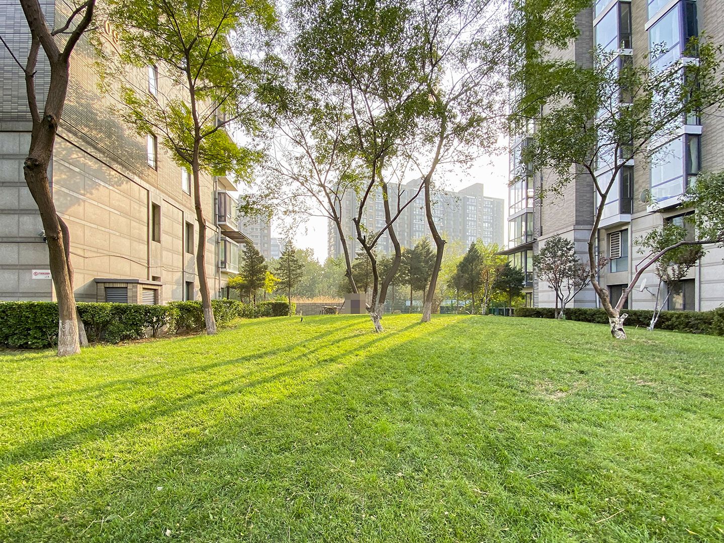 观湖国际 environment