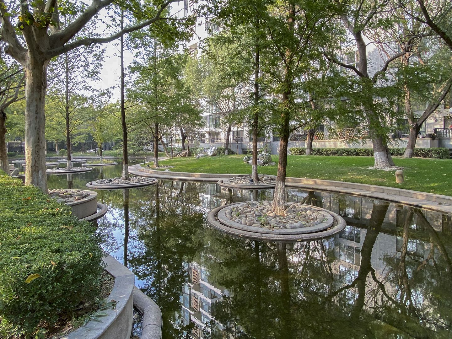 观湖国际 environment