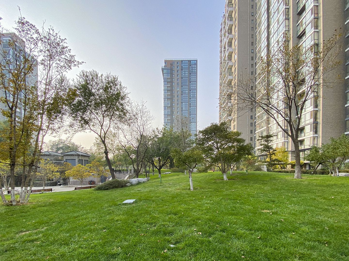 观湖国际 environment