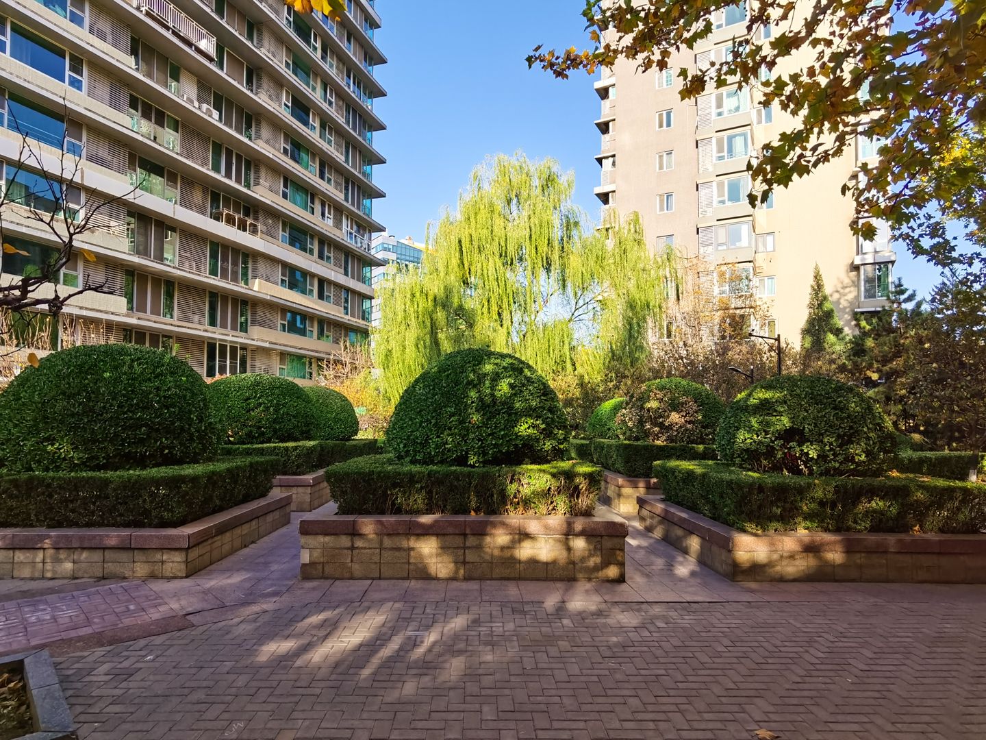 观澜国际 environment