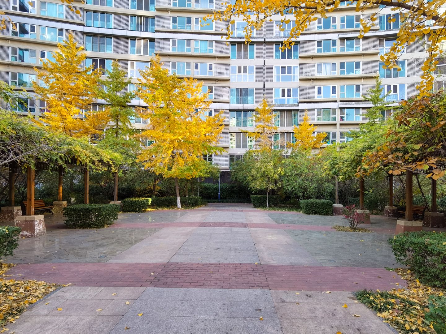 观澜国际 environment