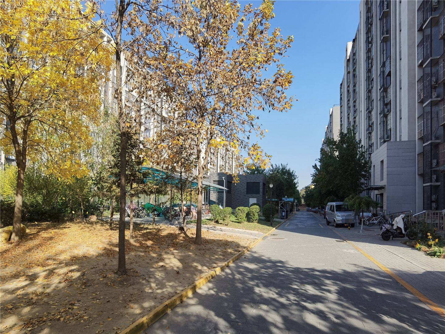 观林阁 environment