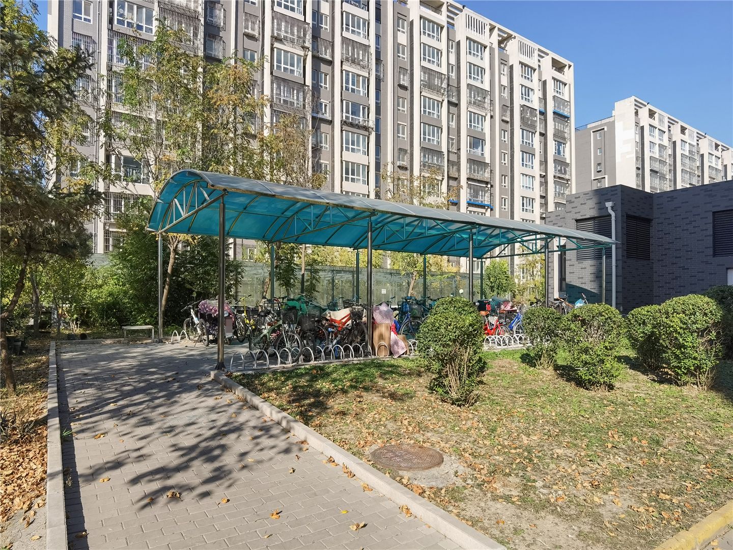 观林阁 environment