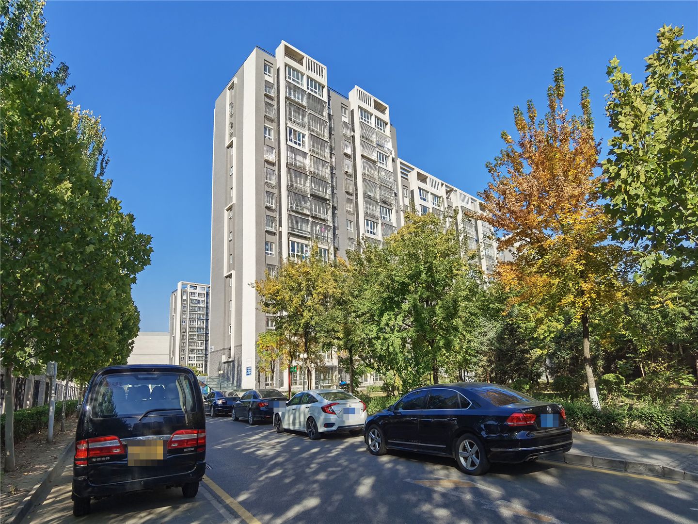 观林阁 environment