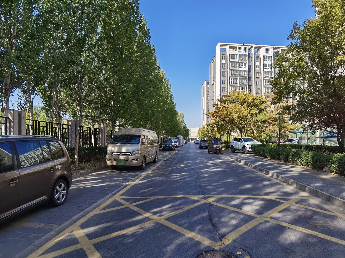 观林阁 environment