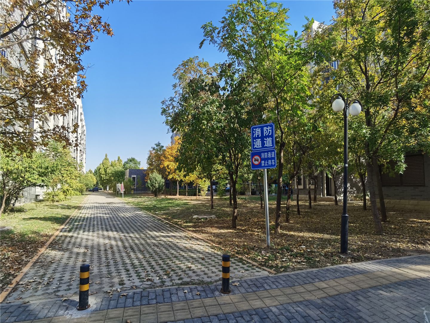 观林阁 environment