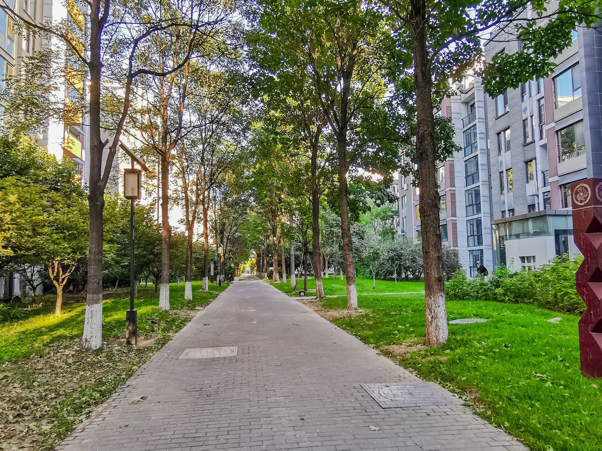 国奥村 environment