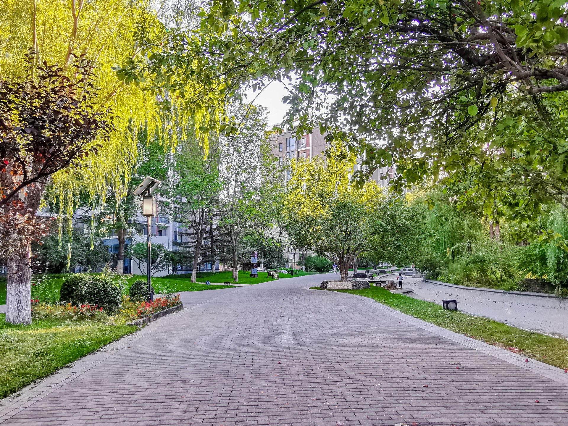 国奥村 environment