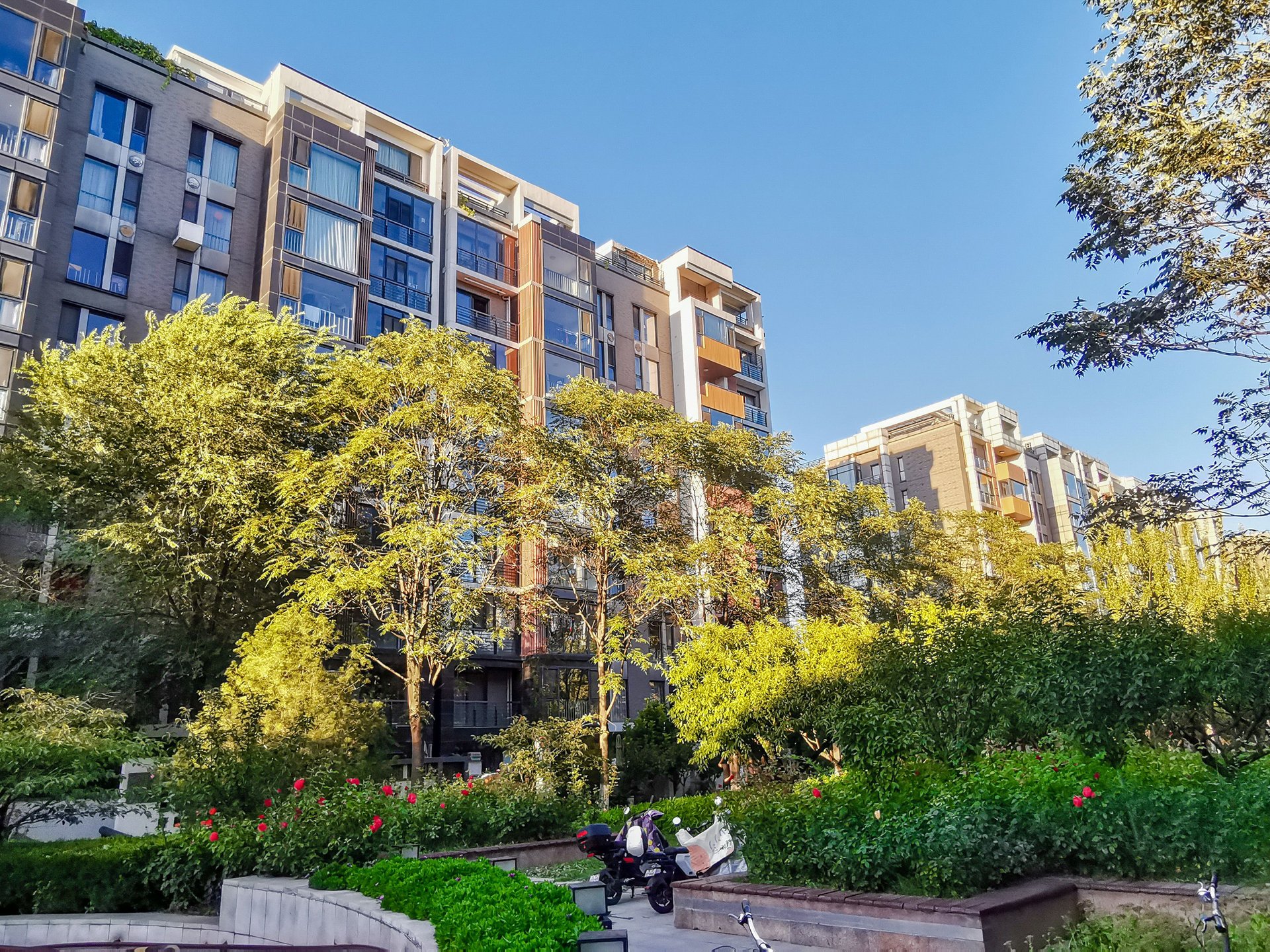 国奥村 environment