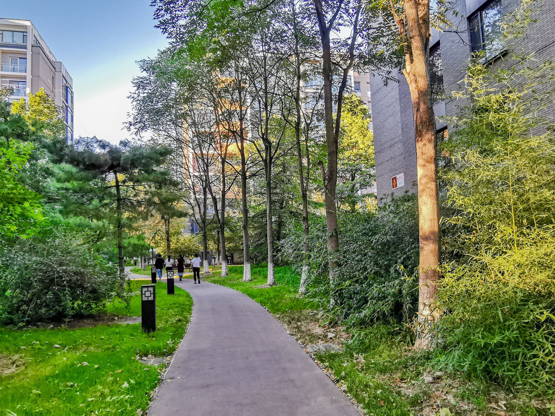 国奥村 environment