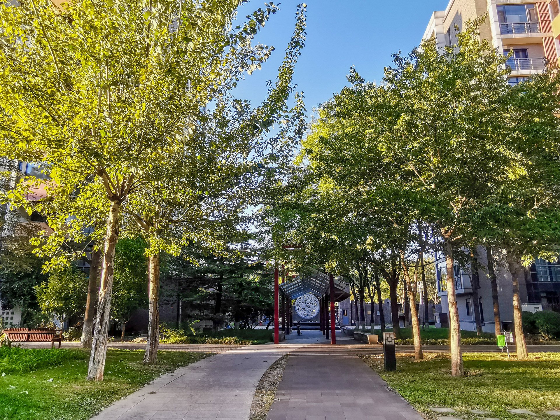 国奥村 environment