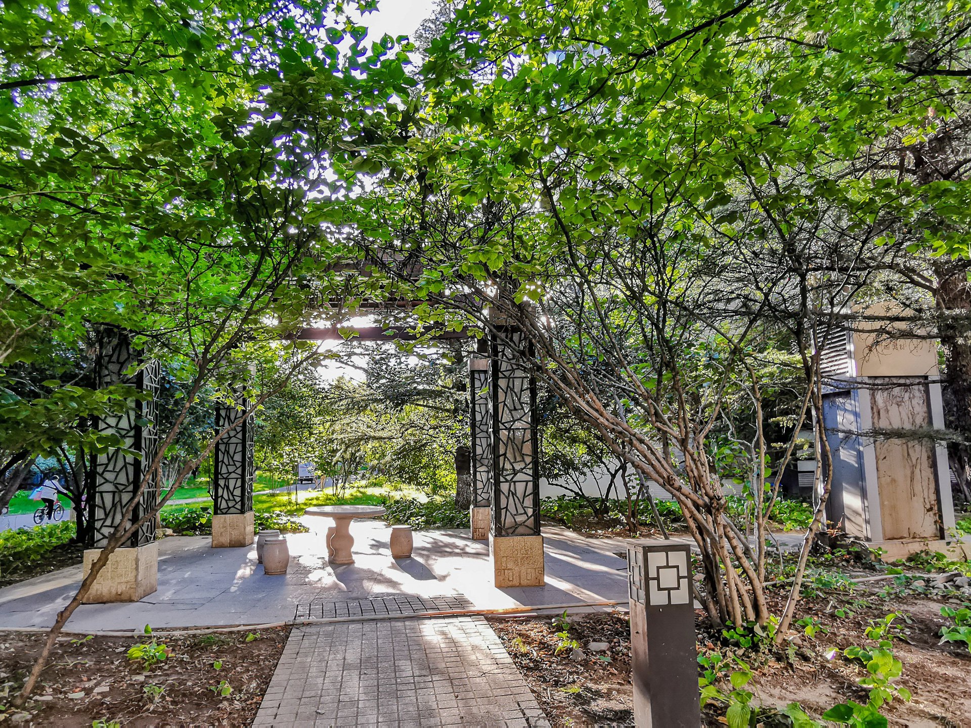 国奥村 environment