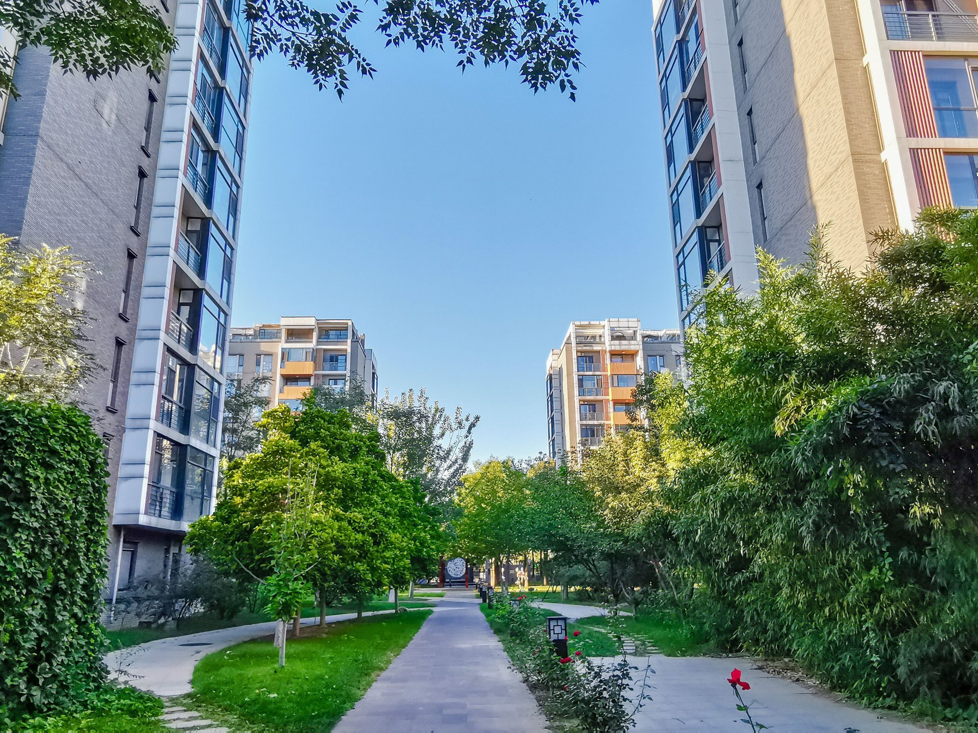 国奥村 environment