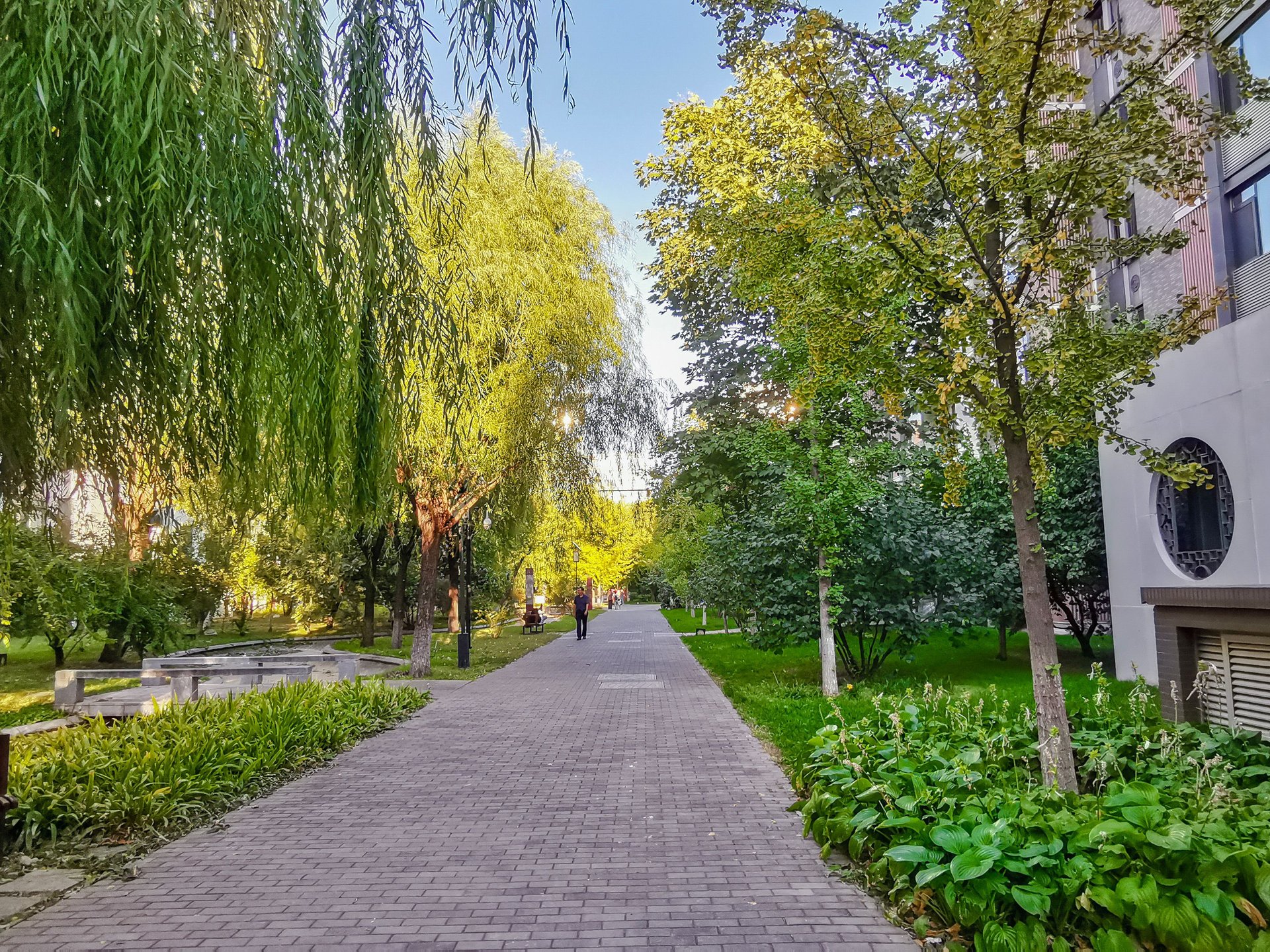 国奥村 environment