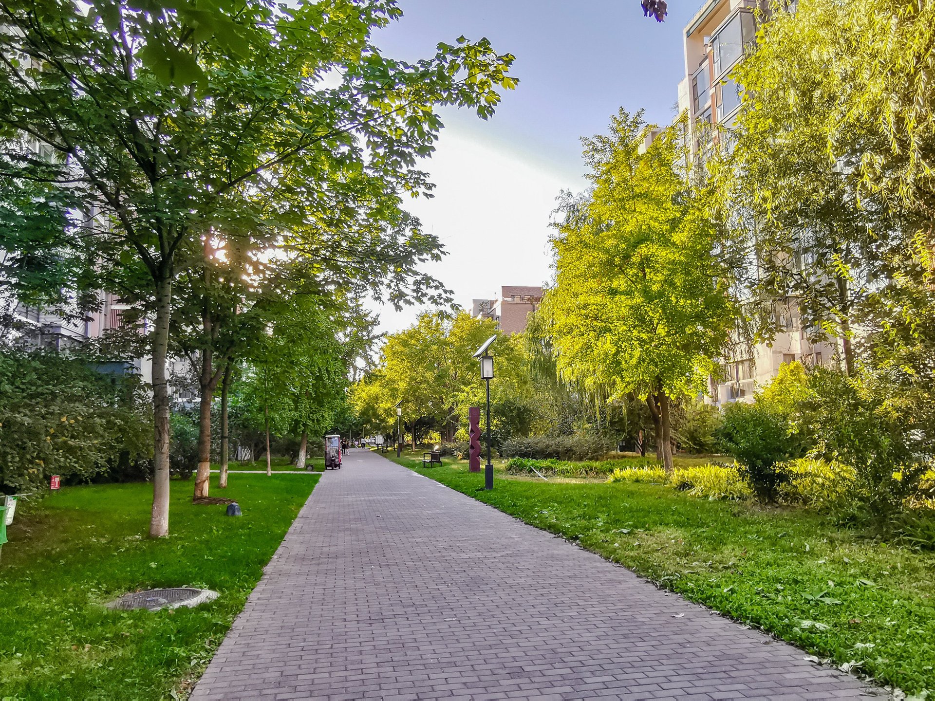 国奥村 environment