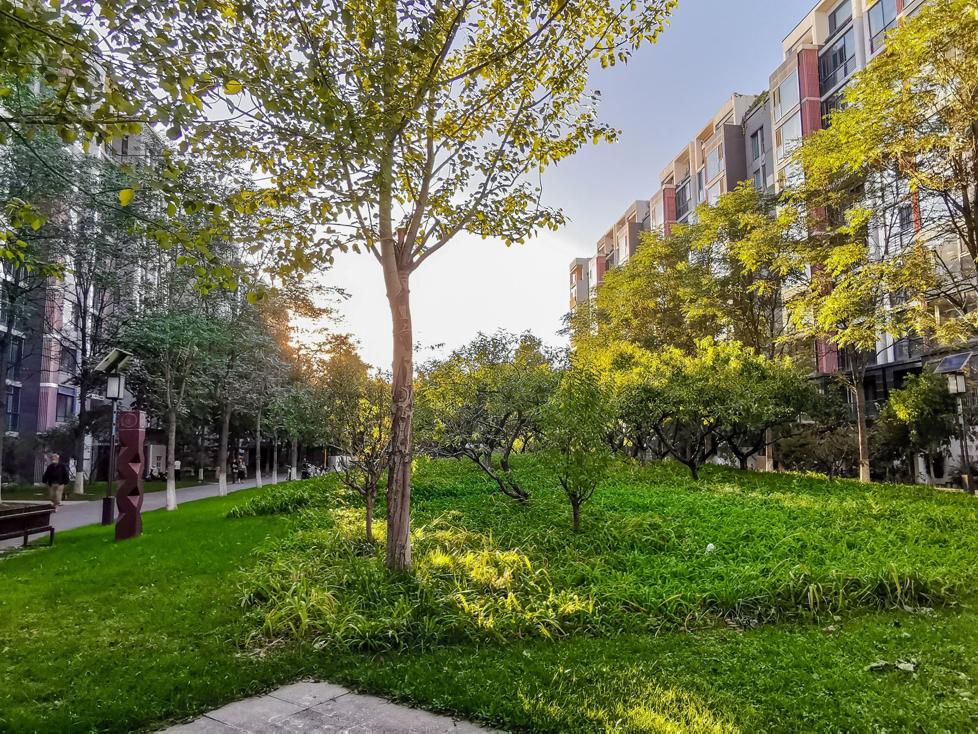 国奥村 environment