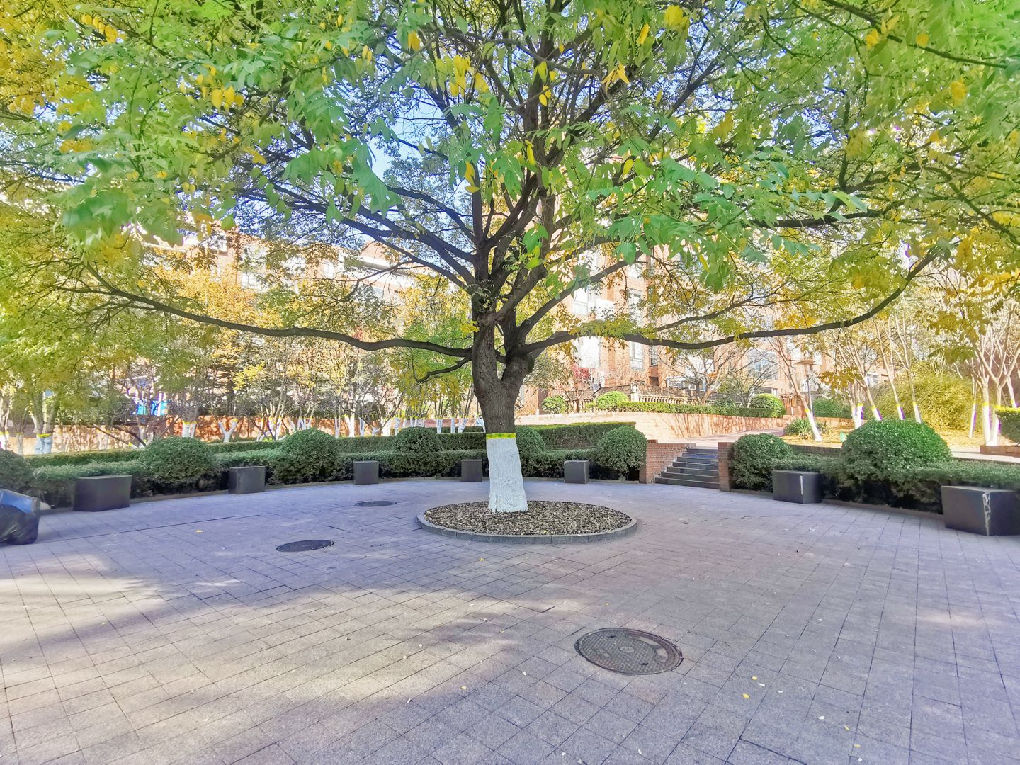 果岭里CLASS environment