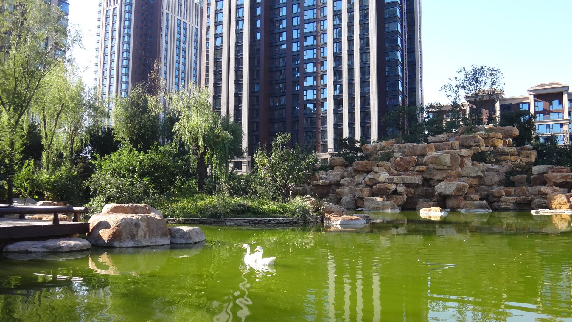 海棠湾一期 environment