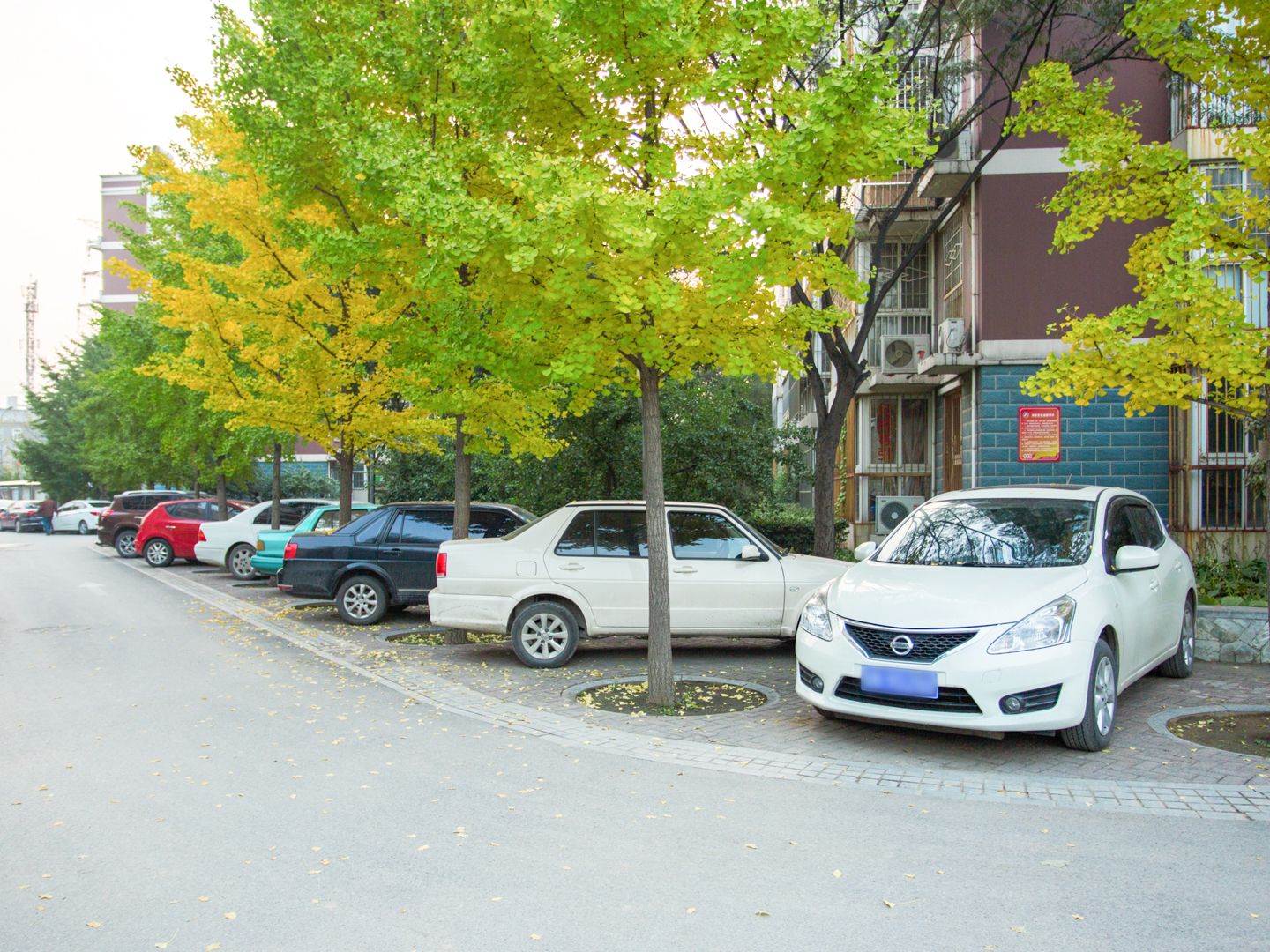 含晖苑 environment