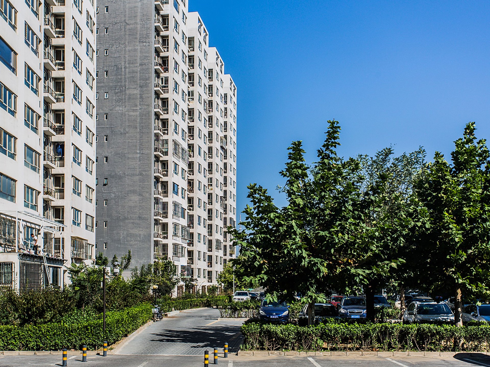 翰林庭院 environment